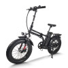 Foldable Fat Tire E-Bike Lightweight Hollow Frame 500W Motor Removable Battery Waterproof OEM/ODM