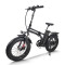 Foldable Fat Tire E-Bike Lightweight Hollow Frame 500W Motor Removable Battery Waterproof OEM/ODM
