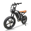 All-Terrain Fat Tire E-Bike Full Suspension 500W-750W Motor Carbon Steel Frame 4.0" Tires OEM/ODM
