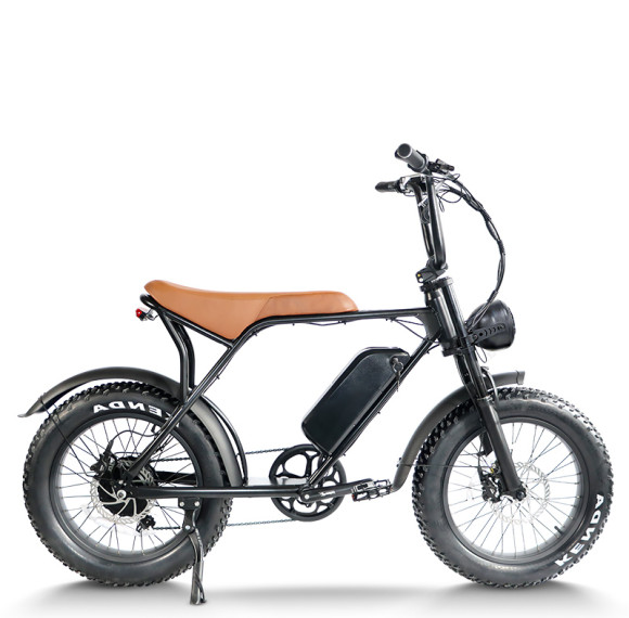 Mountain ebike Waterproof & Dustproof 500W-750W Motor Carbon Steel OEM/ODM Flexible MOQ