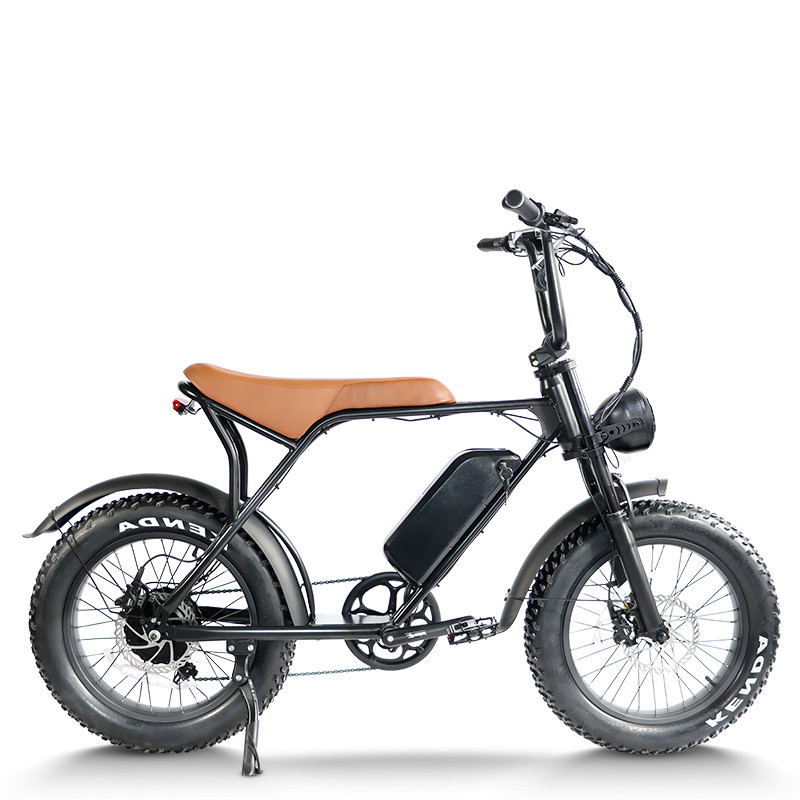 Mountain ebike Waterproof & Dustproof 500W-750W Motor Carbon Steel OEM/ODM Flexible MOQ