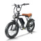 Mountain ebike Waterproof & Dustproof 500W-750W Motor Carbon Steel OEM/ODM Flexible MOQ