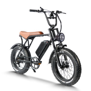 Mountain ebike Waterproof & Dustproof 500W-750W Motor Carbon Steel OEM/ODM Flexible MOQ