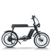 Fat Tire Electric Mountain Bike Waterproof & Dustproof 500W-1000W Motor Carbon Steel Frame OEM/ODM