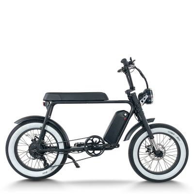 Fat Tire Electric Mountain Bike Waterproof & Dustproof 500W-1000W Motor Carbon Steel Frame OEM/ODM