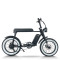 Fat Tire Electric Mountain Bike Waterproof & Dustproof 500W-1000W Motor Carbon Steel Frame OEM/ODM