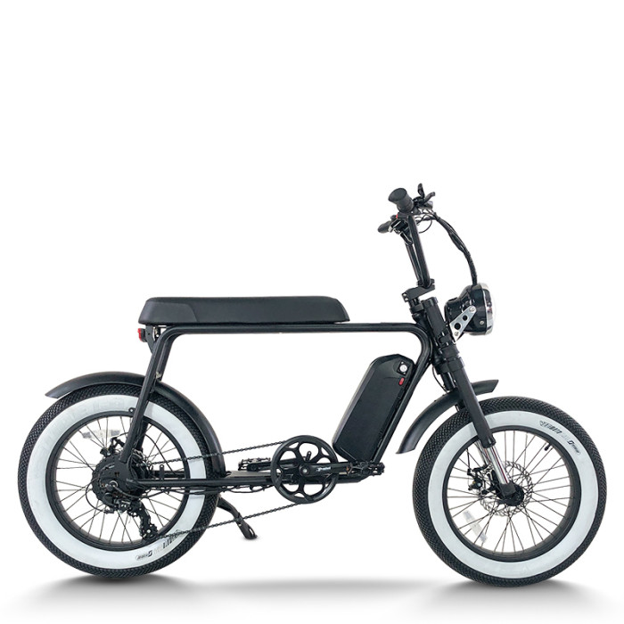 Fat Tire Electric Mountain Bike Waterproof & Dustproof 500W-1000W Motor Carbon Steel Frame OEM/ODM
