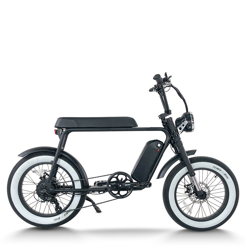 Fat Tire Electric Mountain Bike Waterproof & Dustproof 500W-1000W Motor Carbon Steel Frame OEM/ODM