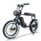 Fat Tire Electric Mountain Bike Waterproof & Dustproof 500W-1000W Motor Carbon Steel Frame OEM/ODM
