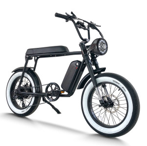 Fat Tire Electric Mountain Bike Waterproof & Dustproof 500W-1000W Motor Carbon Steel Frame OEM/ODM