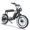 Fat Tire Electric Mountain Bike Waterproof & Dustproof 500W-1000W Motor Carbon Steel Frame OEM/ODM