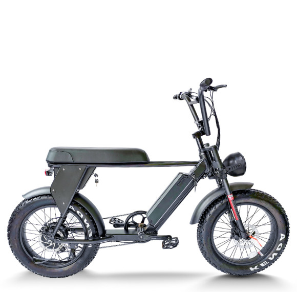 Fat Tire Mountain eBike 500W-1000W All-Terrain Ready 6061 Aluminum Frame Off-Road & Urban OEM/ODM
