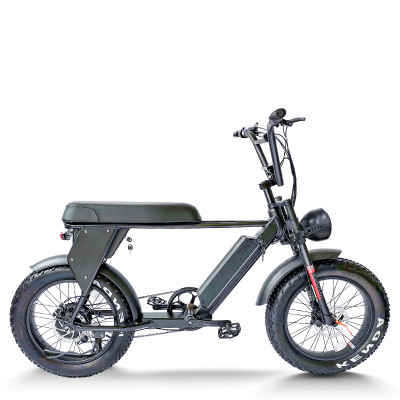 Fat Tire Mountain eBike 500W-1000W All-Terrain Ready 6061 Aluminum Frame Off-Road & Urban OEM/ODM
