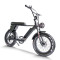 Fat Tire Mountain eBike 500W-1000W All-Terrain Ready 6061 Aluminum Frame Off-Road & Urban OEM/ODM
