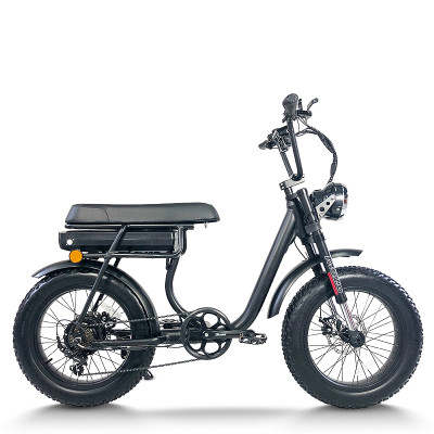 Step-Thru Comfort ebike Easy On/Off 48V13Ah-20Ah Li-ion Battery City & Commuter OEM/ODM