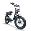Step-Thru Comfort ebike Easy On/Off 48V13Ah-20Ah Li-ion Battery City & Commuter OEM/ODM