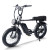 Fat Tire E Bike | 750W All Terrain E Bike | E Mouatin Bike AEB67
