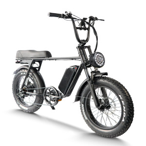 Fat tire ebike 250W Weatherproof Durable Steel Frame City Light Trails OEM/ODM