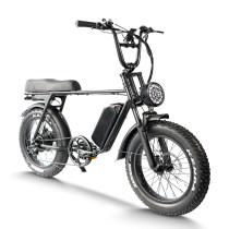Fat Tire E Bike | 750W All Terrain E Bike | E Mouatin Bike AEB67