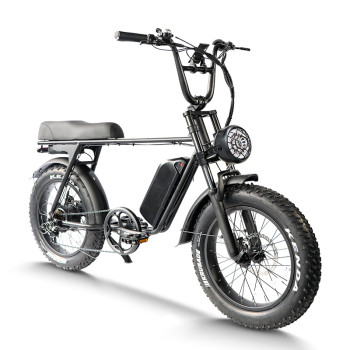 Fat Tire E Bike | 750W All Terrain E Bike | E Mouatin Bike AEB67