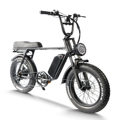 Fat Tire E Bike | 750W All Terrain E Bike | E Mouatin Bike AEB67