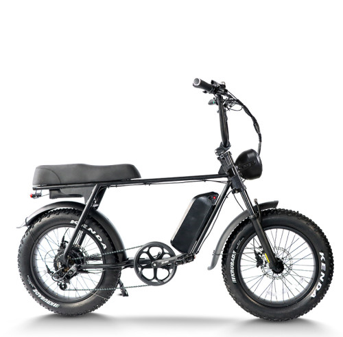 Fat Tire E Bike | 750W All Terrain E Bike | E Mouatin Bike AEB67