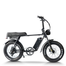 Fat Tire E Bike | 750W All Terrain E Bike | E Mouatin Bike AEB67