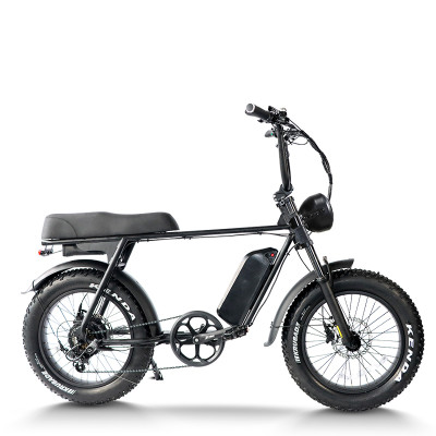 Fat tire ebike 250W Weatherproof Durable Steel Frame City Light Trails OEM/ODM