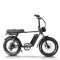 Fat tire ebike 250W Weatherproof Durable Steel Frame City Light Trails OEM/ODM