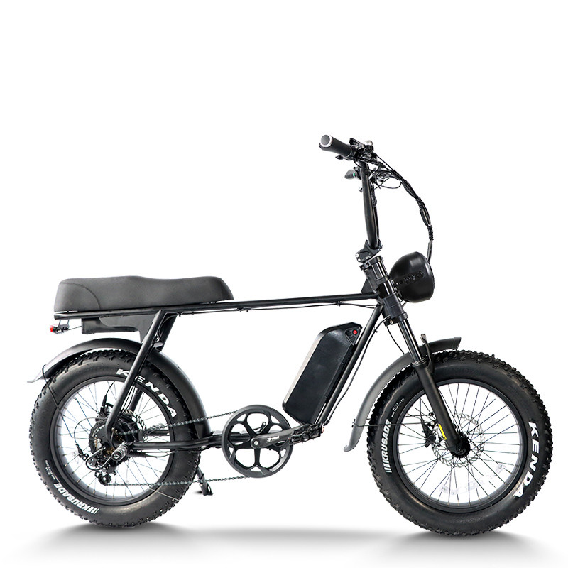 Fat tire ebike 250W Weatherproof Durable Steel Frame City Light Trails OEM/ODM