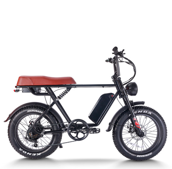 Fat Tire Mountain eBike 750W Color Display & Disc Brakes 20x4.0 Fat Tires OEM/ODM