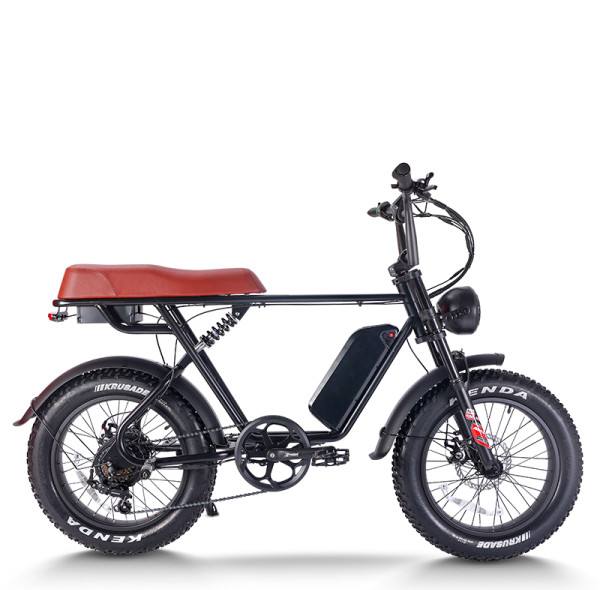 Fat Tire E Bike | 750W All Terrain E Bike | E Mouatin Bike AEB66