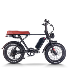 Fat Tire Mountain eBike 750W Color Display & Disc Brakes 20x4.0 Fat Tires OEM/ODM