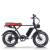 Fat Tire E Bike | 750W All Terrain E Bike | E Mouatin Bike AEB66