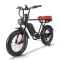 Fat Tire Mountain eBike 750W Color Display & Disc Brakes 20x4.0 Fat Tires OEM/ODM