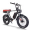 Fat Tire Mountain eBike 750W Color Display & Disc Brakes 20x4.0 Fat Tires OEM/ODM