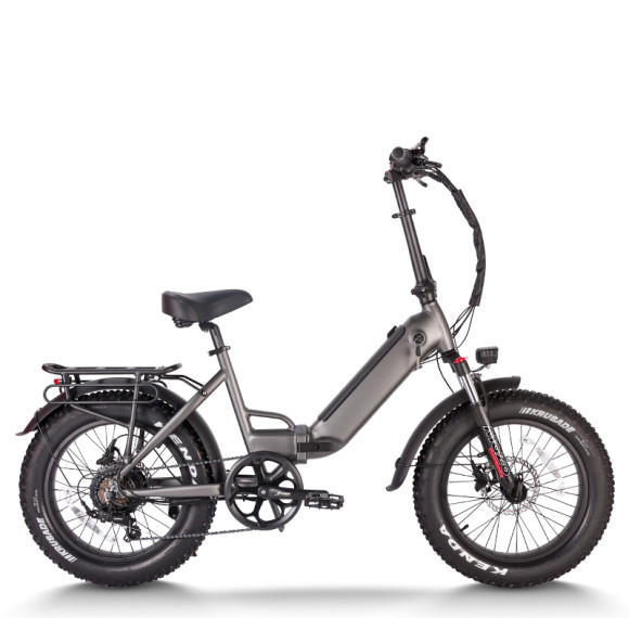 750W Folding eBike Color Display & Hydraulic Brakes 20x4.0 Fat Tires OEM/ODM White Label Solutions