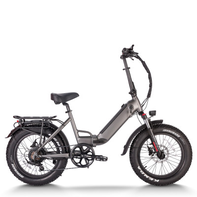 750W Folding eBike Color Display & Hydraulic Brakes 20x4.0 Fat Tires OEM/ODM White Label Solutions