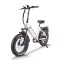 750W Folding eBike Color Display & Hydraulic Brakes 20x4.0 Fat Tires OEM/ODM White Label Solutions