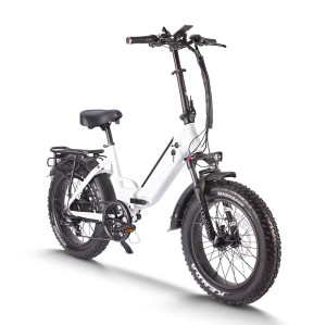 Folding eBike | 750W  Fat tire electric bike | Electric City Commuter | AEB57A