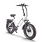 750W Folding eBike Color Display & Hydraulic Brakes 20x4.0 Fat Tires OEM/ODM White Label Solutions