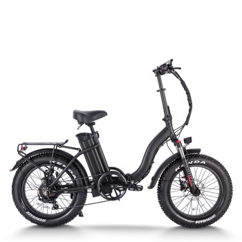 folding ebike Foldable & Compact 750W Motor 48V15Ah Battery 20x4.0 Tires OEM/ODM