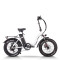 folding ebike Foldable & Compact 750W Motor 48V15Ah Battery 20x4.0 Tires OEM/ODM