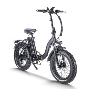 folding ebike Foldable & Compact 750W Motor 48V15Ah Battery 20x4.0 Tires OEM/ODM