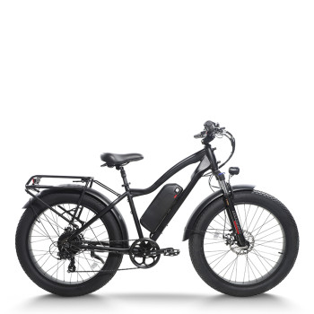 Electric mountain bike High-Performance 750W Motor 48V15.6Ah Battery 26x4.0 Tires OEM/ODM