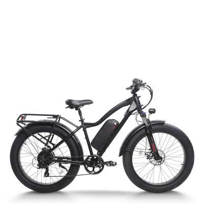 Electric mountain bike High-Performance 750W Motor 48V15.6Ah Battery 26x4.0 Tires OEM/ODM
