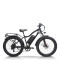 Electric mountain bike High-Performance 750W Motor 48V15.6Ah Battery 26x4.0 Tires OEM/ODM