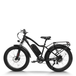 Electric mountain bike High-Performance 750W Motor 48V15.6Ah Battery 26x4.0 Tires OEM/ODM
