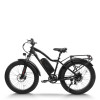 Electric mountain bike High-Performance 750W Motor 48V15.6Ah Battery 26x4.0 Tires OEM/ODM
