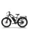 Electric mountain bike High-Performance 750W Motor 48V15.6Ah Battery 26x4.0 Tires OEM/ODM